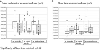 Comparison of Shifts in Skeletal Muscle Plasticity Parameters in Horses in Three Different Muscles, in Answer to 8 Weeks of Harness Training